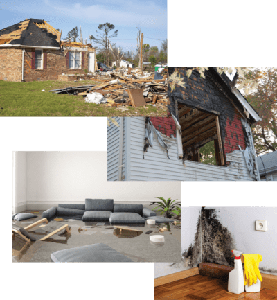 fire damage repair tampa, sewage backup cleanup tampa, mold remediation tampa, and storm damage repair company in Tampa Bay