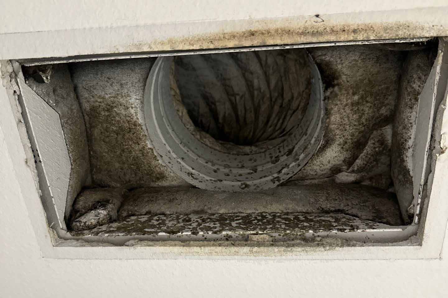 Air Vent Cleaning in Tampa