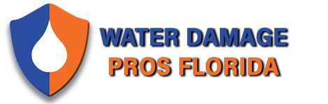 Water Damage Pros FL Logo