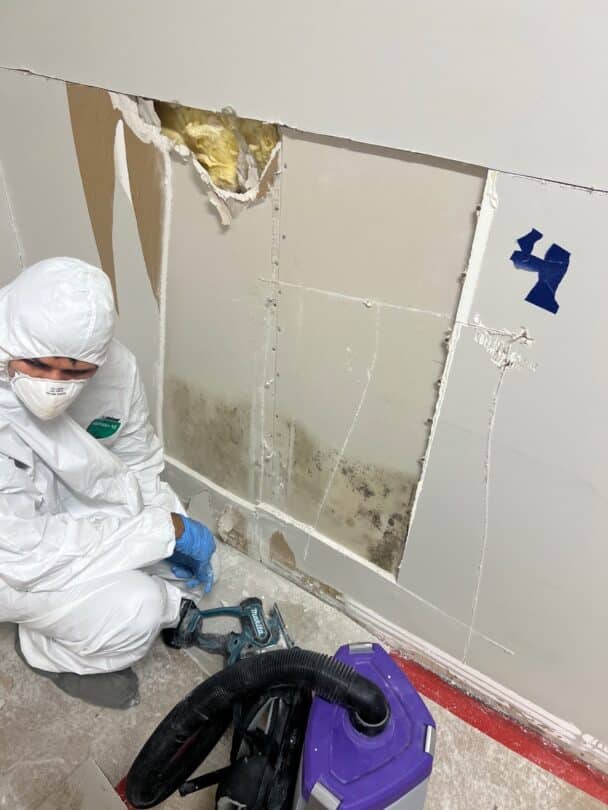 a professional taking care of mold