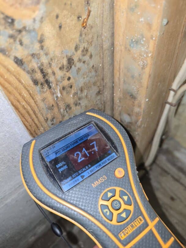 Moisture meter reading 21.7% on a wooden surface with visible mold growth, indicating high moisture levels and potential water damage.
