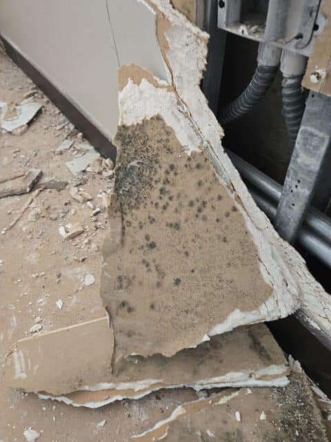 mold inside a wall