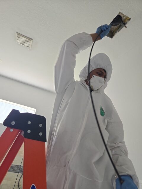 Professional mold removal technician in protective gear using equipment to clean the ceiling vent, ensuring thorough mold remediation and air quality improvement in a residential property.