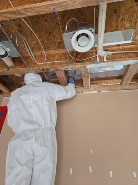 Checking Mold in House