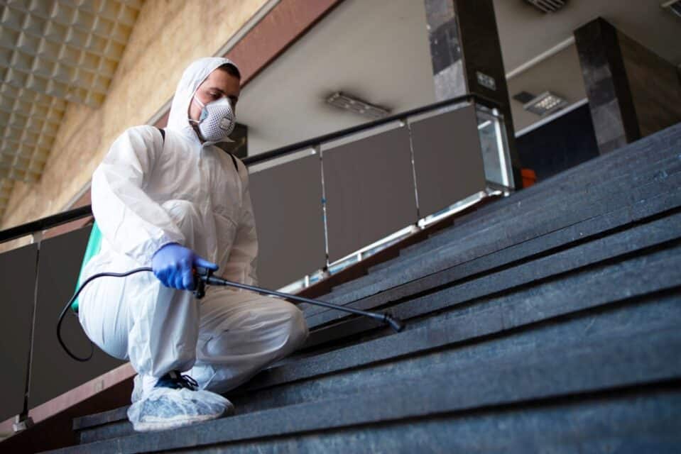 Mold Remediation Company Work