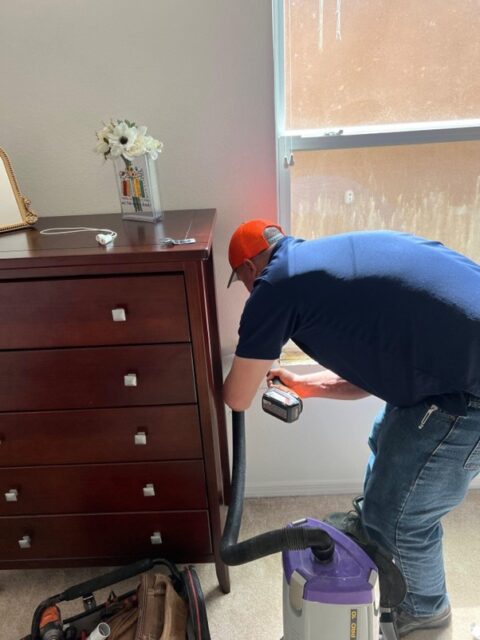 Mold Removal Experts | Water Damage Pros Tampa