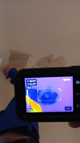 Mold Restoration | Water Damage Pros Tampa