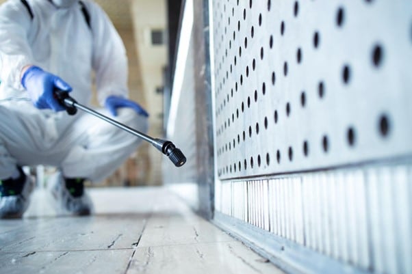 Mold remediation services