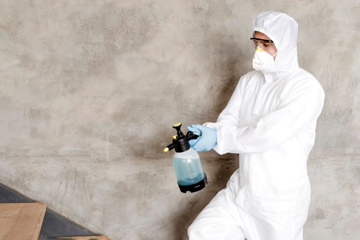 Mold removal process