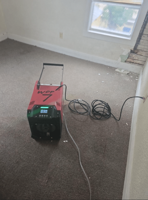 Mold Cleanup Solutions in Tampa | Water Damage Pros Tampa