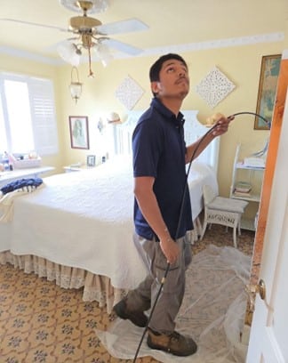 Mold Remediation | WaterDamageProStampa