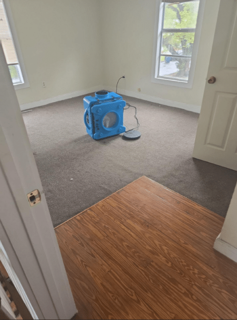 Mold and Water Damage Specialists | Water Damage Pros Tampa